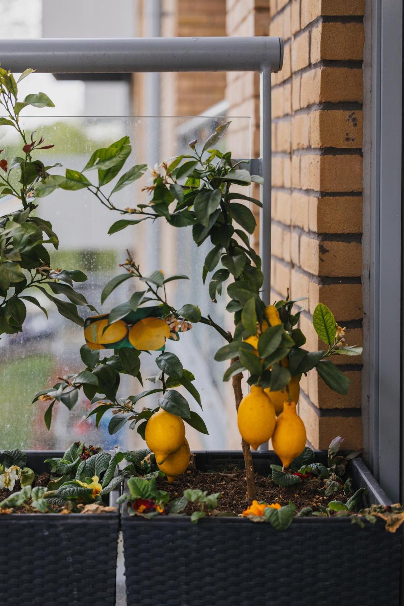 Brixton Village Flat- Private En-Suite Double Bedroom 런던 외부 사진
